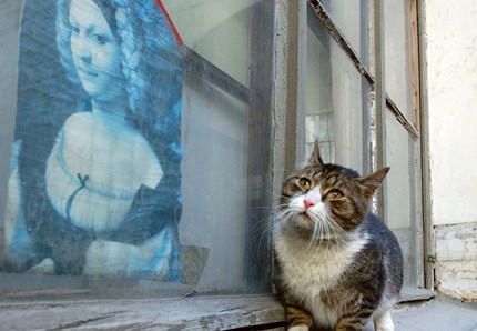 La giornata dei gatti dell'Ermitage