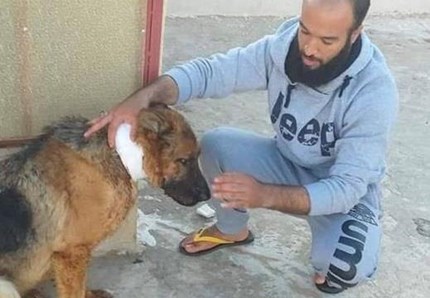 Il cane ferito in Libia commuove il mondo