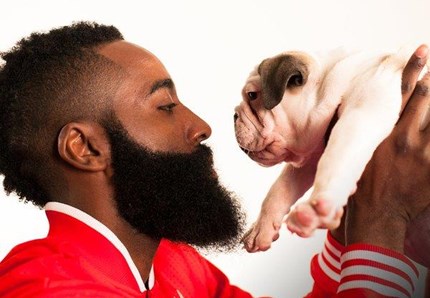 Cani in NBA? Sì, con la Dog Walk dei Rockets