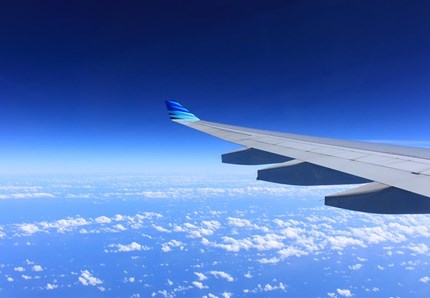 Aereo, nave, treno: viaggiare con loro