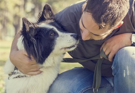 Cane e uomo, il colpo di fulmine esiste. Lo dice la scienza