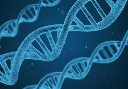 Grandi scoperte sul Dna felino: verso la cura di malattie rare