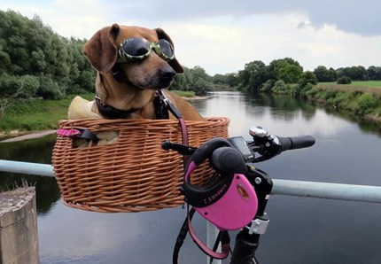 Anche loro in bici con noi