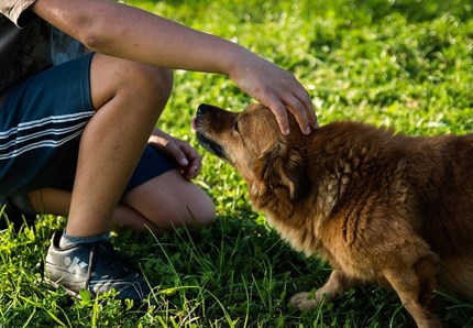 Ecco come diventare una cosa sola con il proprio cane