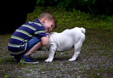 Due giorni per neonati e animali