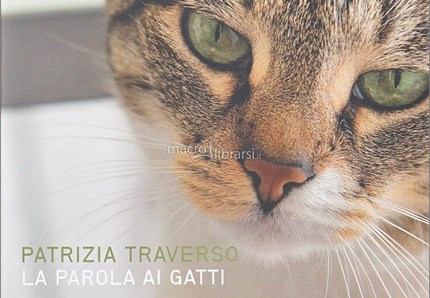 Il gatto parla... eccome