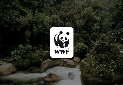 Caccia, l'allarme del wwf