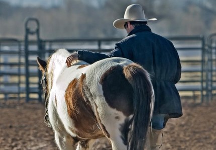 Monta western, per una cavalcata da film