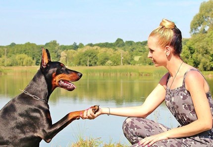 I cani sostengono i malati di Sla. Parte il progetto