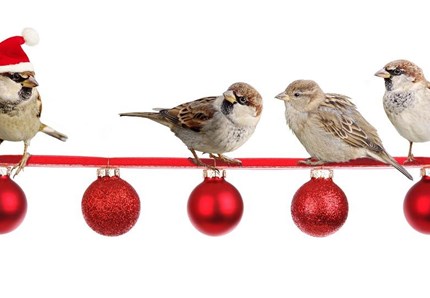 Buon Natale a tutti dai nostri amici pet
